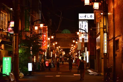 DSC_3985 (Large).JPG